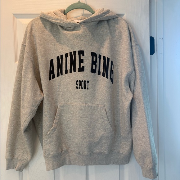 Anine Bing Harvey Hoodie distressed sweatshirt, Heather Grey, XS - Picture 10 of 11
